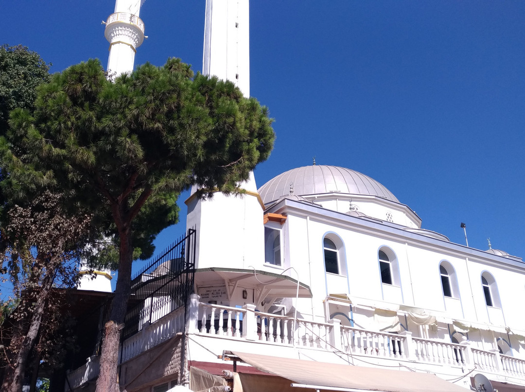 Turgutreis Merkez Cami景点图片