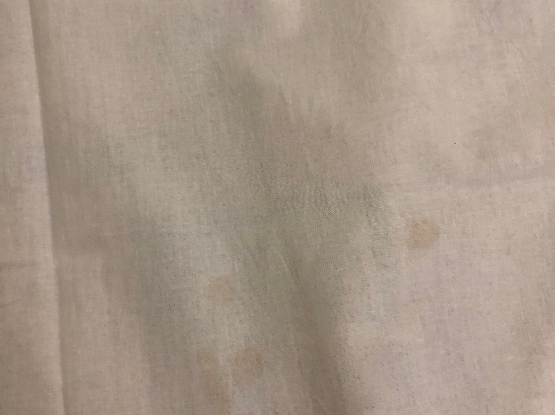 ANI na Severnoy主图