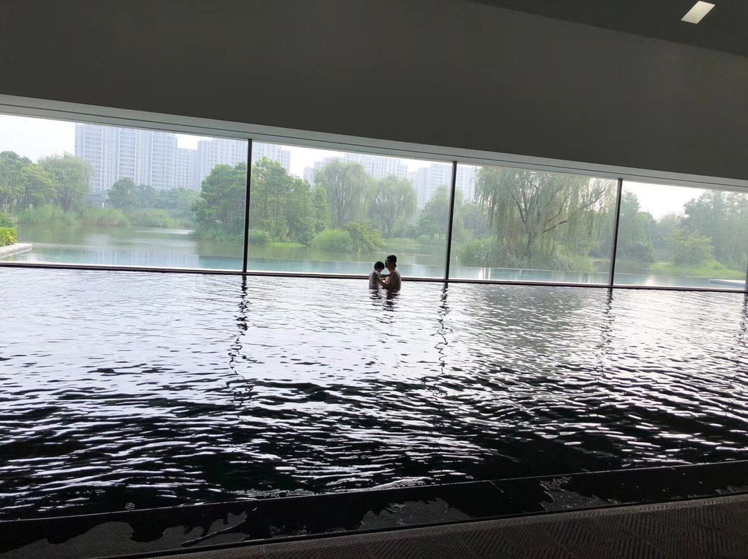 阿丽拉乌镇主图