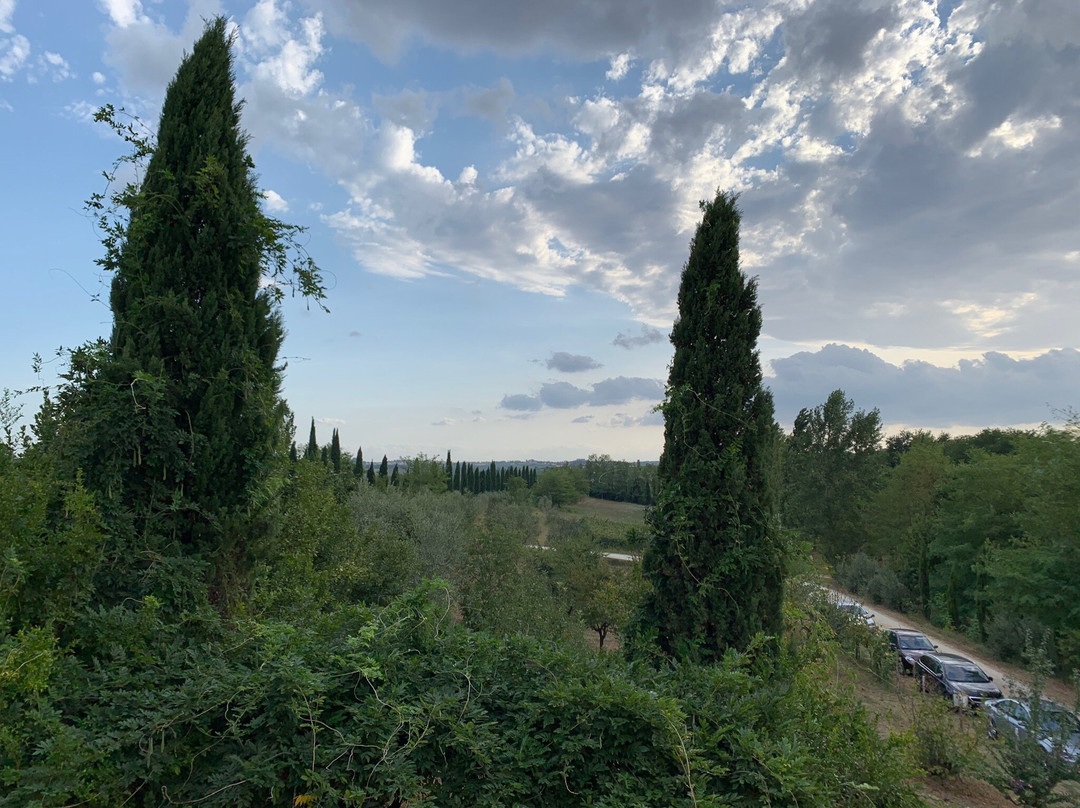 Palma's Country B&B主图