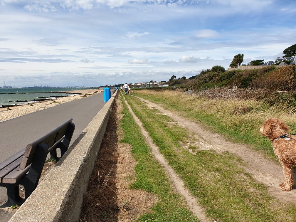 Hill Head Beach景点图片