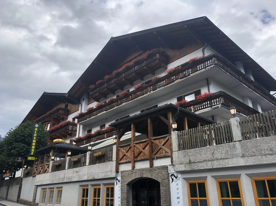 Hotel Alpenrose主图