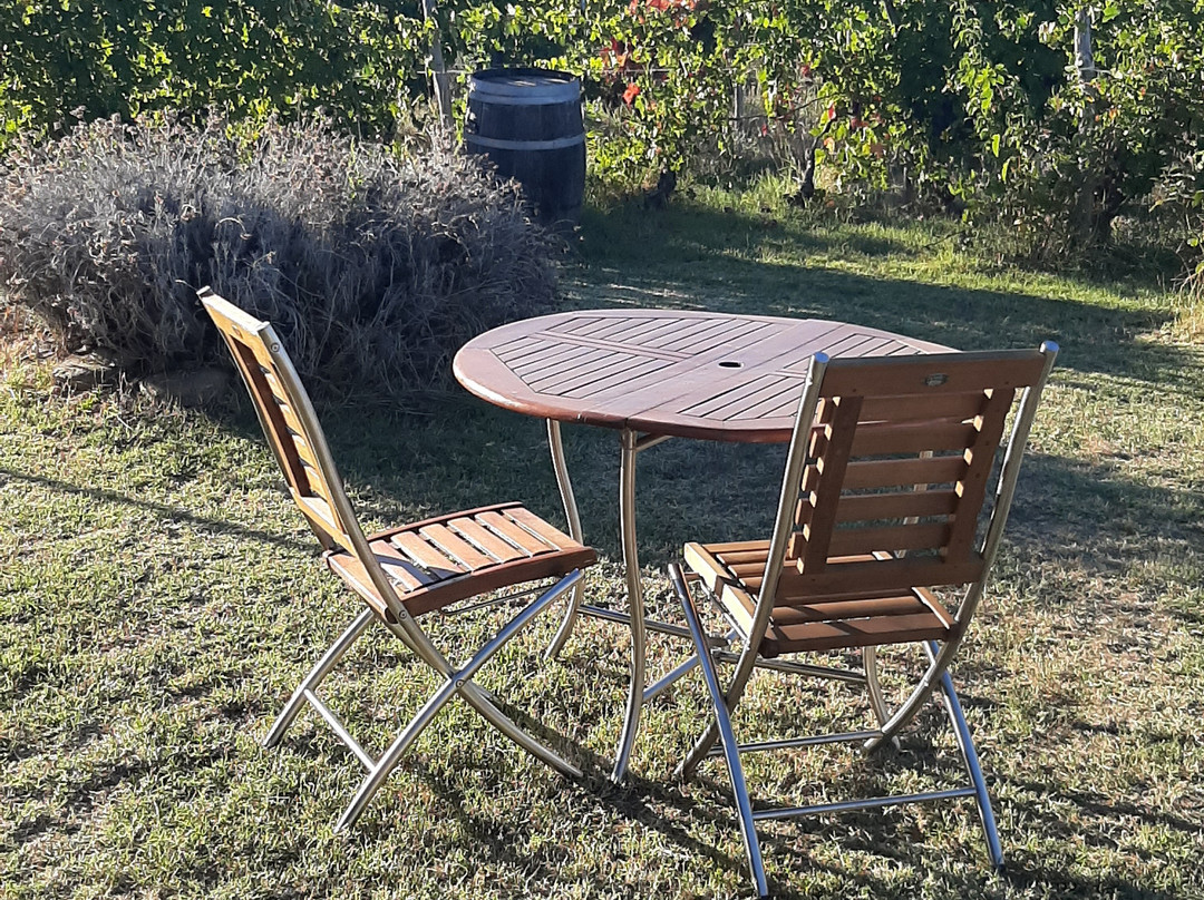 Cascina la Maddalena Bed & Wine主图