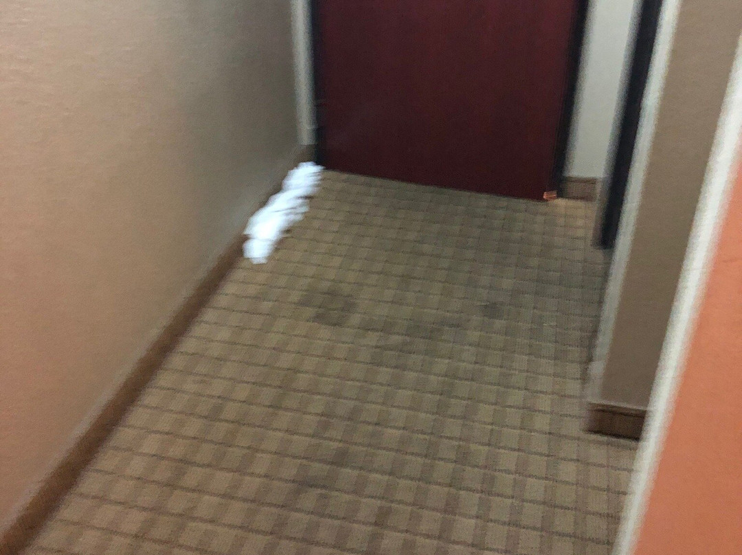 Super 8 by Wyndham Conway主图