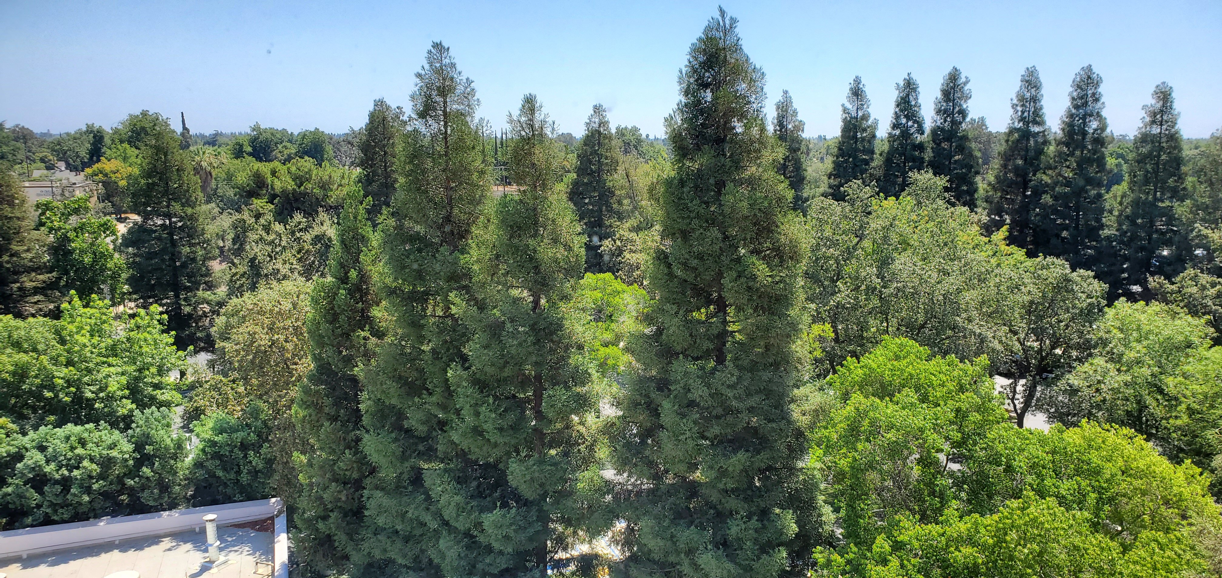 Visalia Marriott at the Convention Center-酒店景观