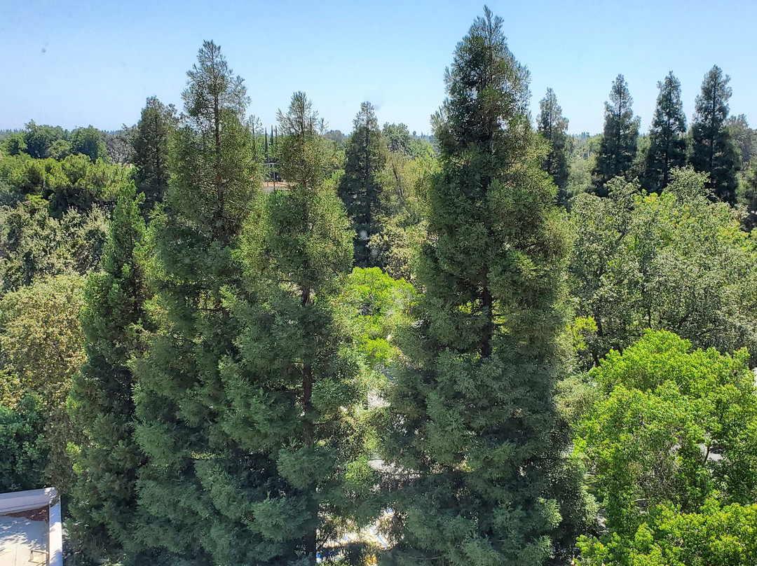 Visalia Marriott at the Convention Center主图