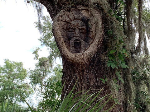 Tree Spirits of St. Simons Island-圣西蒙斯岛必去景点