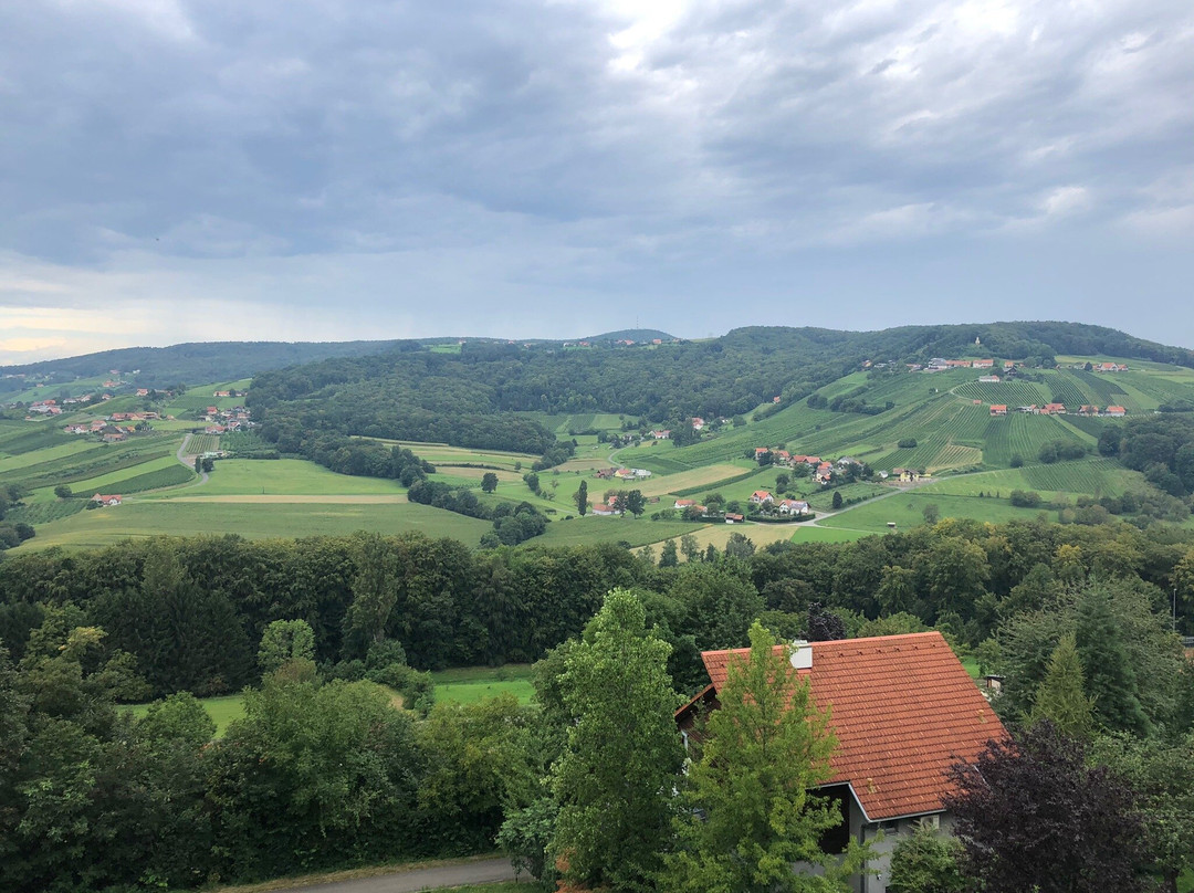 Gesamtsteirische Vinothek景点图片