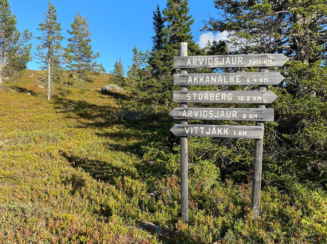 Vittjåkk Fjället景点图片