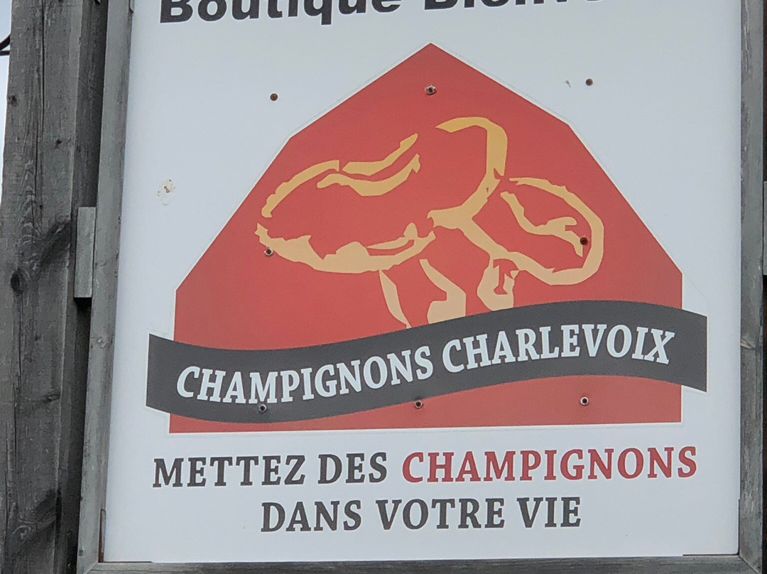 Champignons Charlevoix景点图片