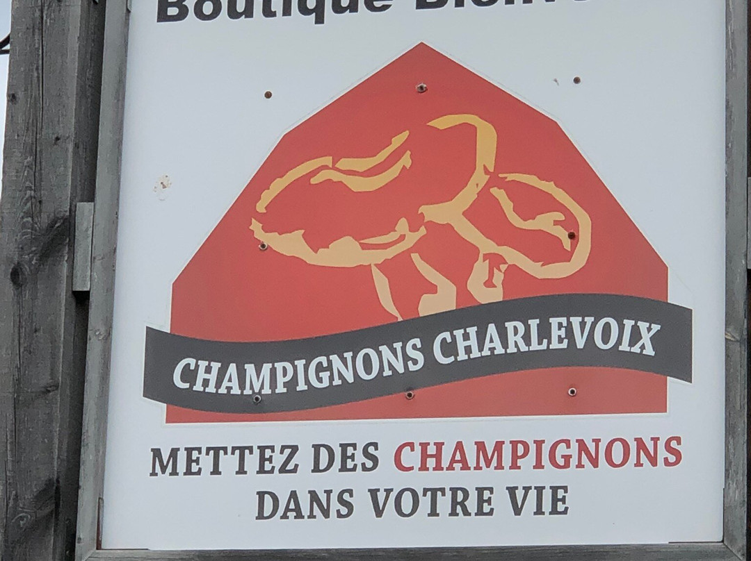 Champignons Charlevoix-拉马尔拜必去景点