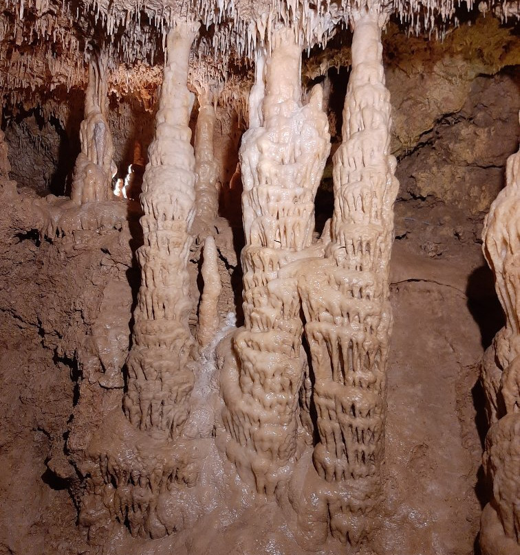 Grotte de Lastournelle景点图片