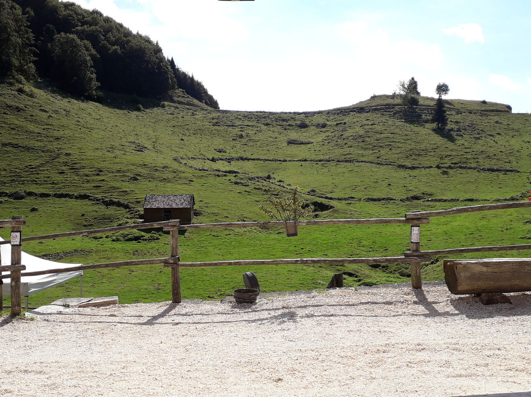 Malga Fossa di Sarone景点图片