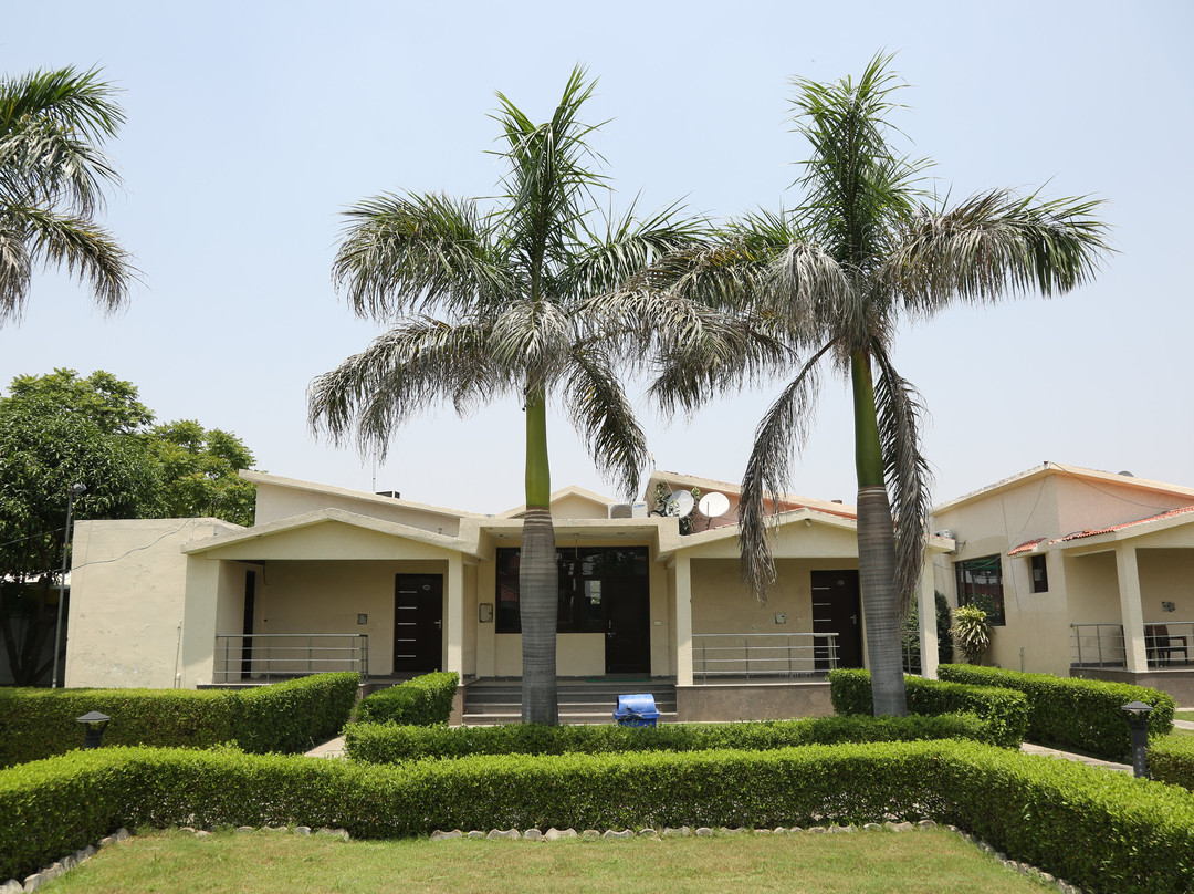 Drive In 22 Resort主图