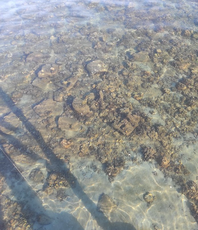 Pantai Pasir Putih-Situbondo必去景点
