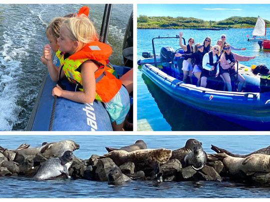 Dolphin Events-鹿特丹必去景点