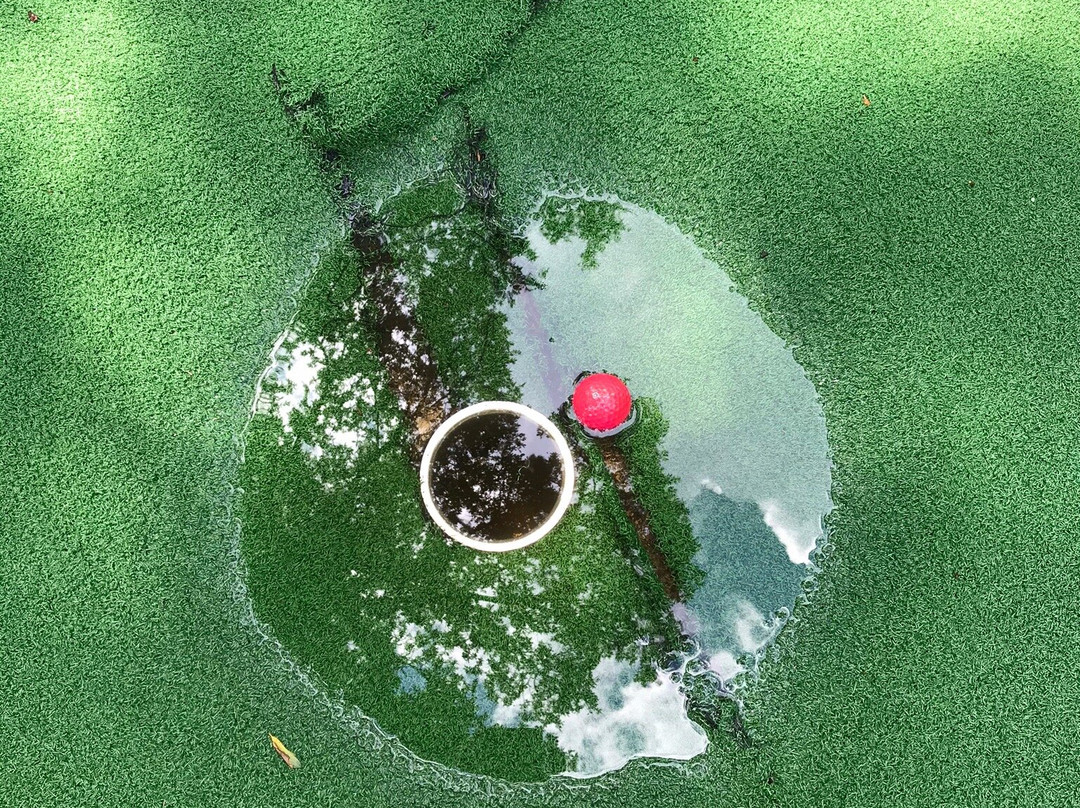 Charleston Fun Park-芒特普莱森特必去景点