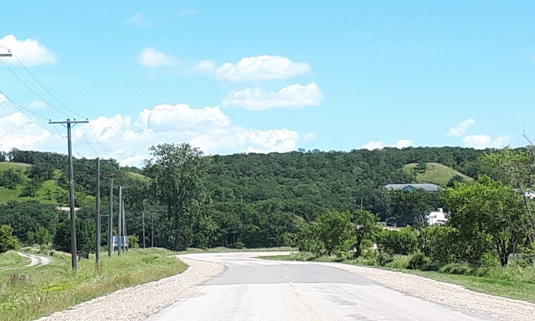 Tommy Turtle Statue-波伊斯维因必去景点