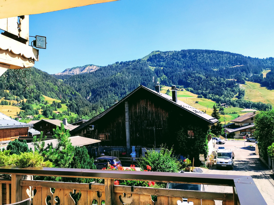 Les Chalets De La Griyotire主图