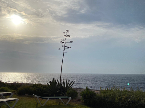 Apartamentos Parque Mar主图