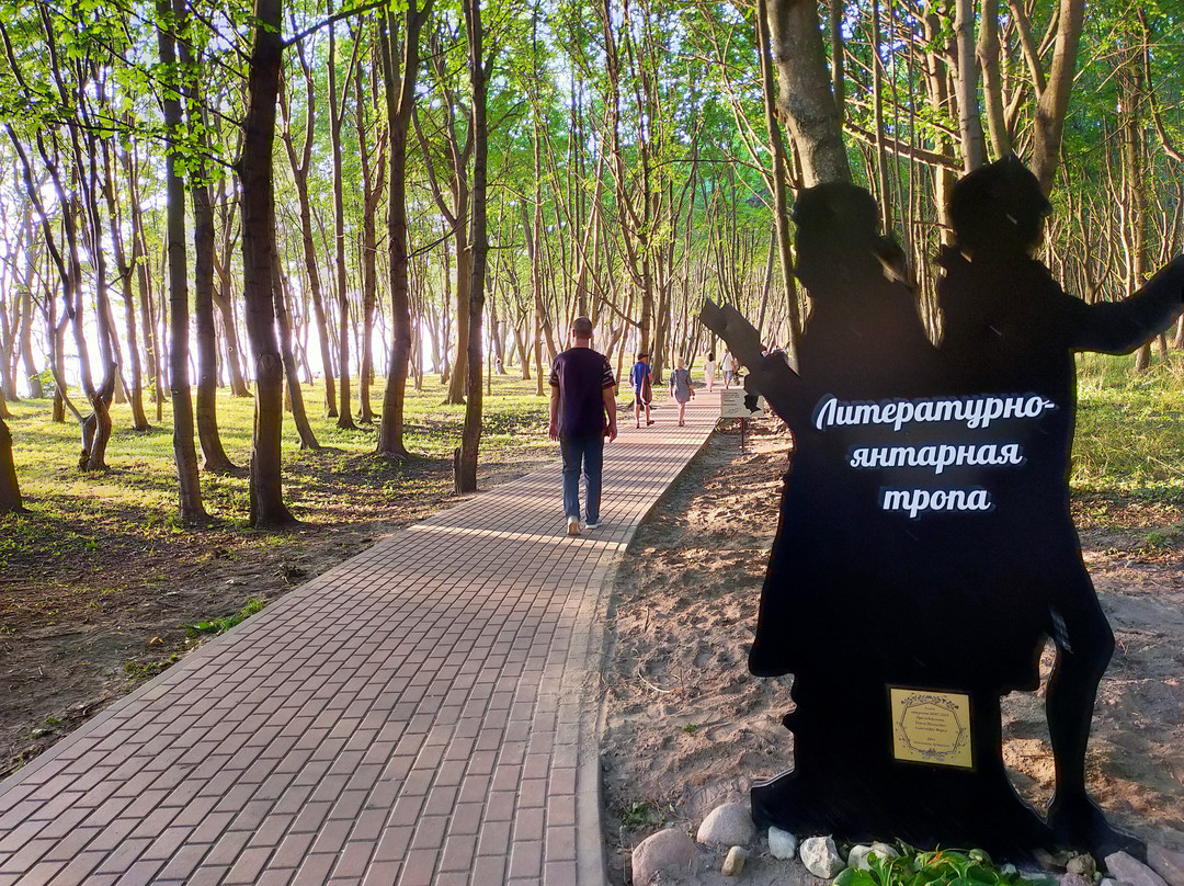 M. Becker Park-Yantarnyy必去景点