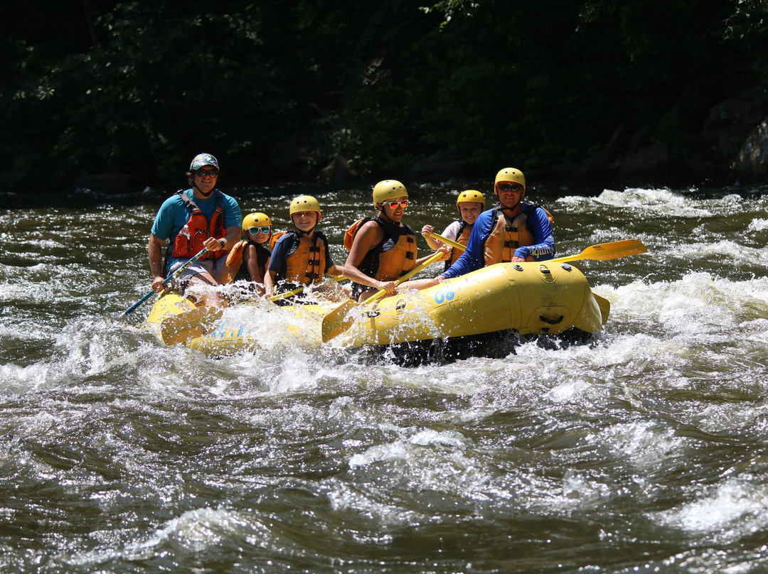 Rafting in the Smokies景点图片