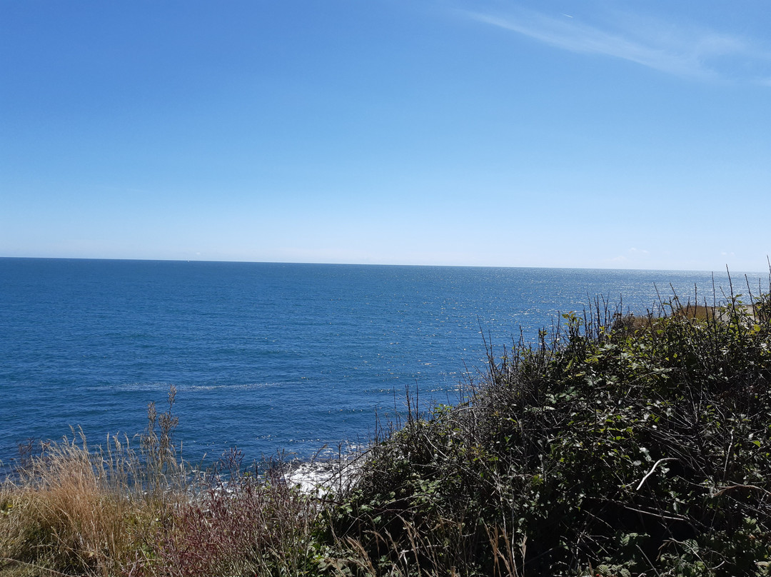 St Aldhelms Head - South West Coast Path walk景点图片