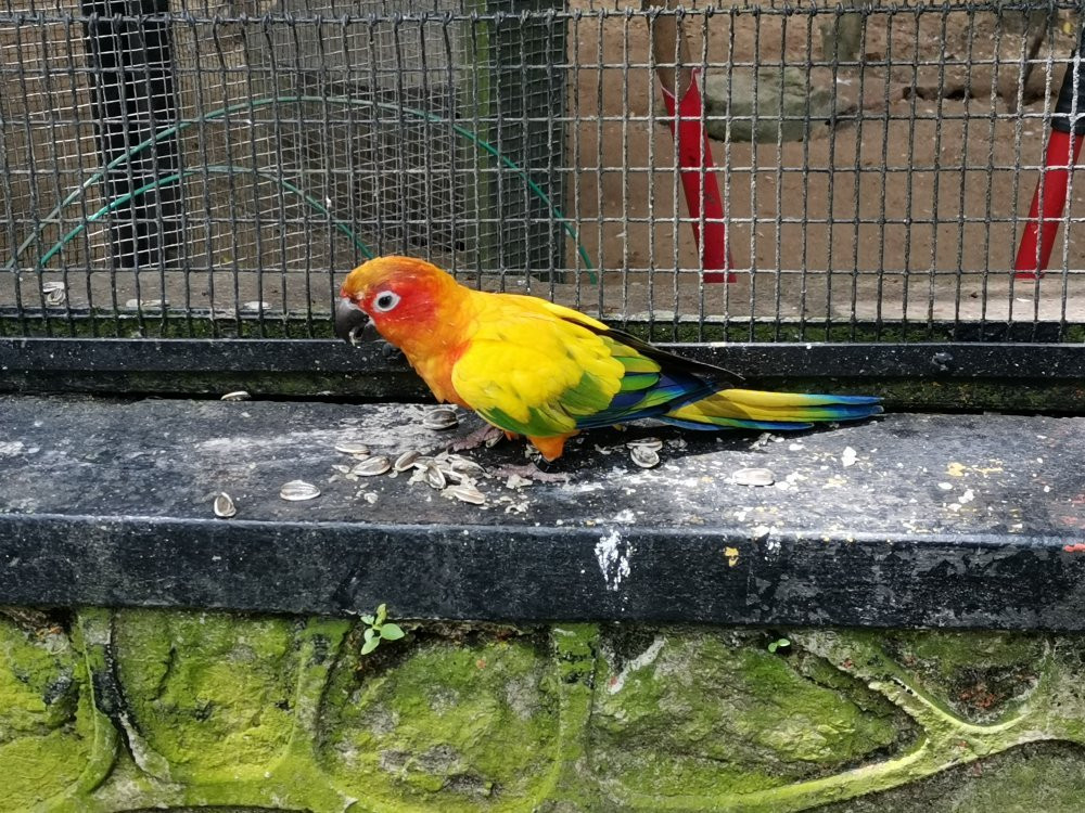 Zoo Johor-新山必去景点