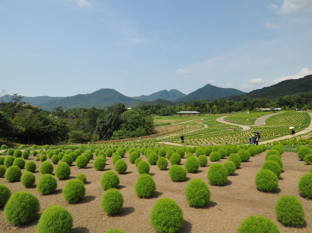 Sanuki Manno Park-满浓町必去景点