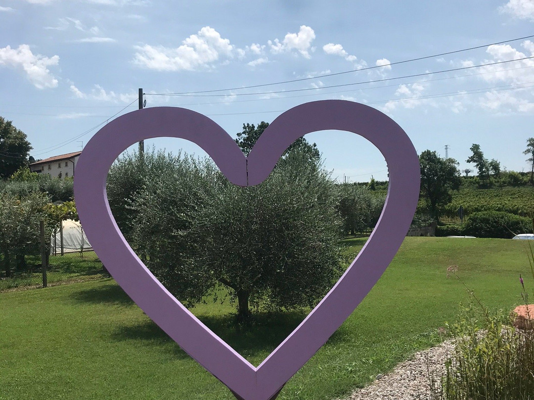 Agriturismo Casa Aurora主图