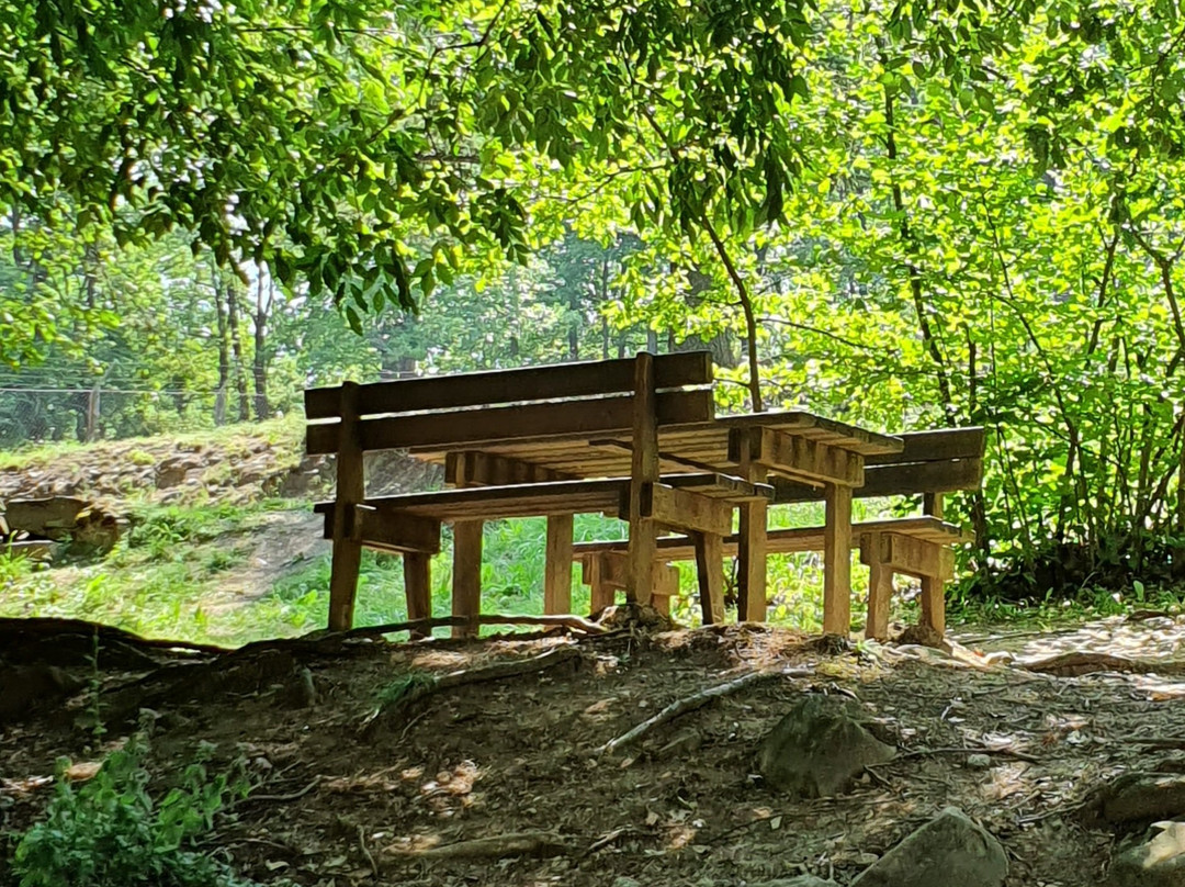 Parco Provinciale Monte Fuso景点图片