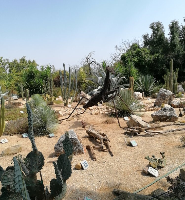 L'Arboretum景点图片
