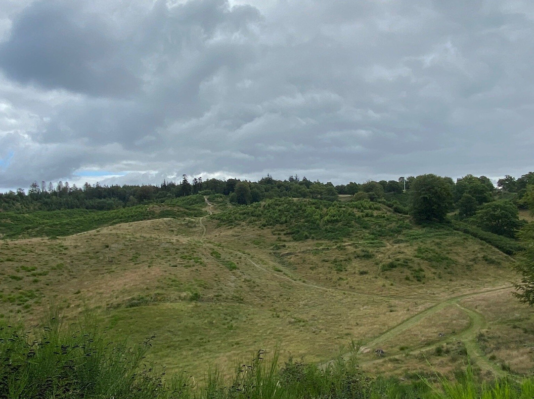 Svanninge Bjerge景点图片