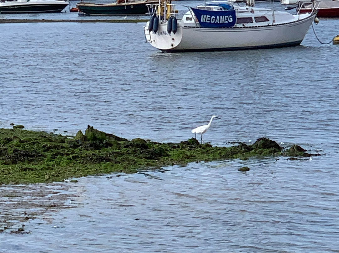 Bosham Quay景点图片