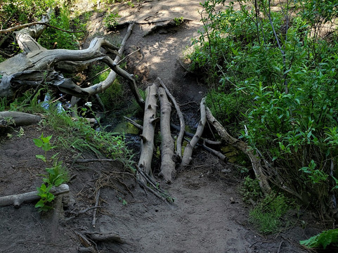 Indian Pools Trail-Lakeshore必去景点