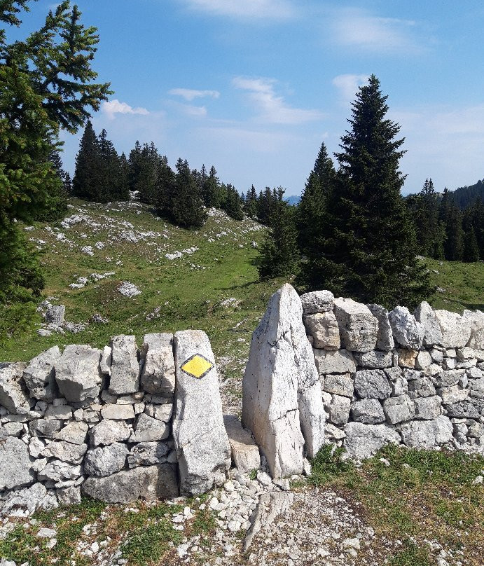 Parc Jura vaudois景点图片