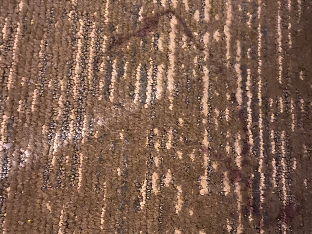 Comfort Suites Near Hot Springs Park主图