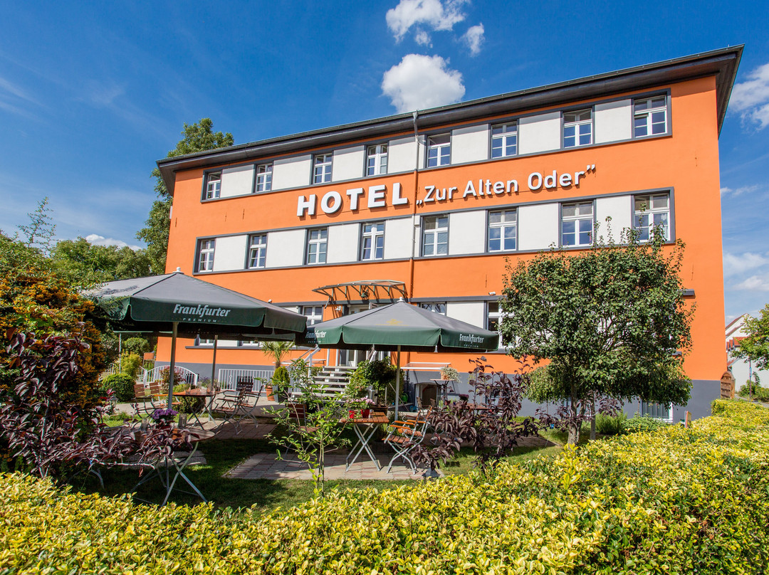 Hotel Zur Alten Oder主图