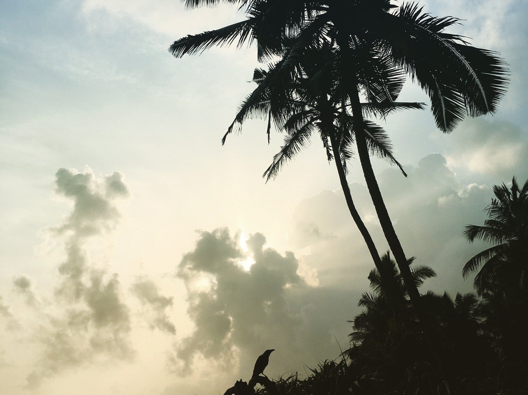 Thengapattinam Beach景点图片