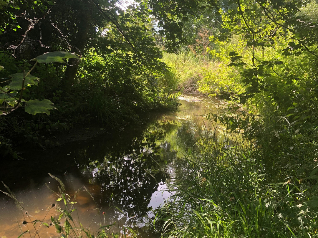 River Walk景点图片