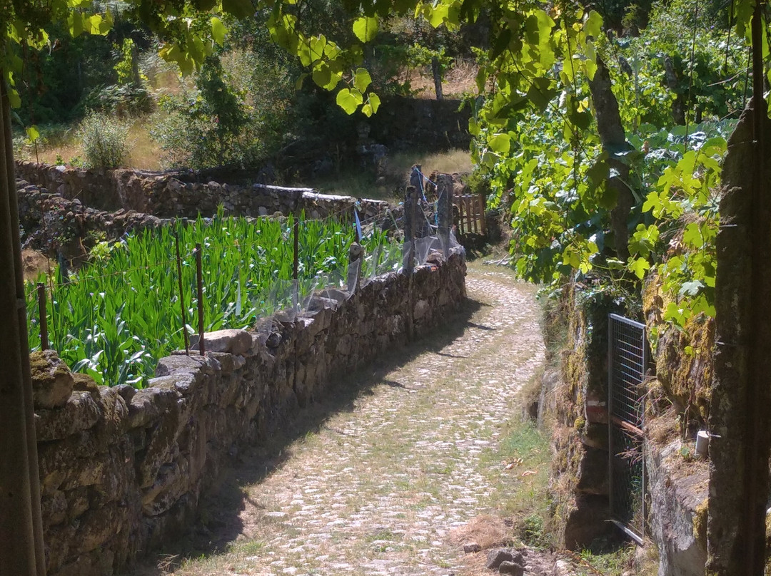 Keen Tours-波尔图必去景点