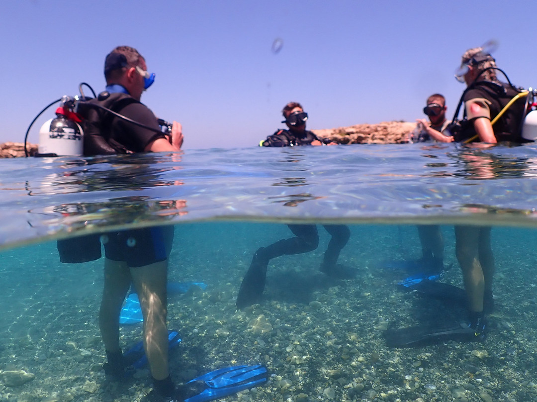 Cyprus Diving Centre景点图片