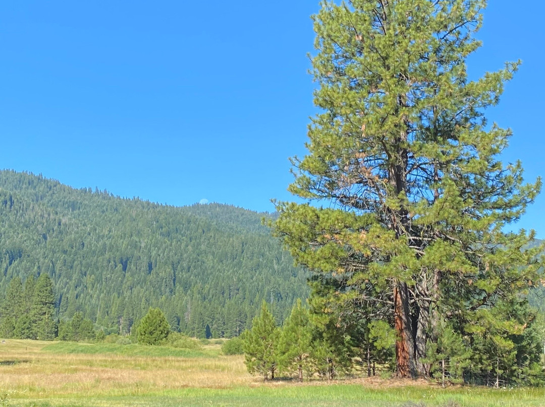 Lodge at Whitehawk主图