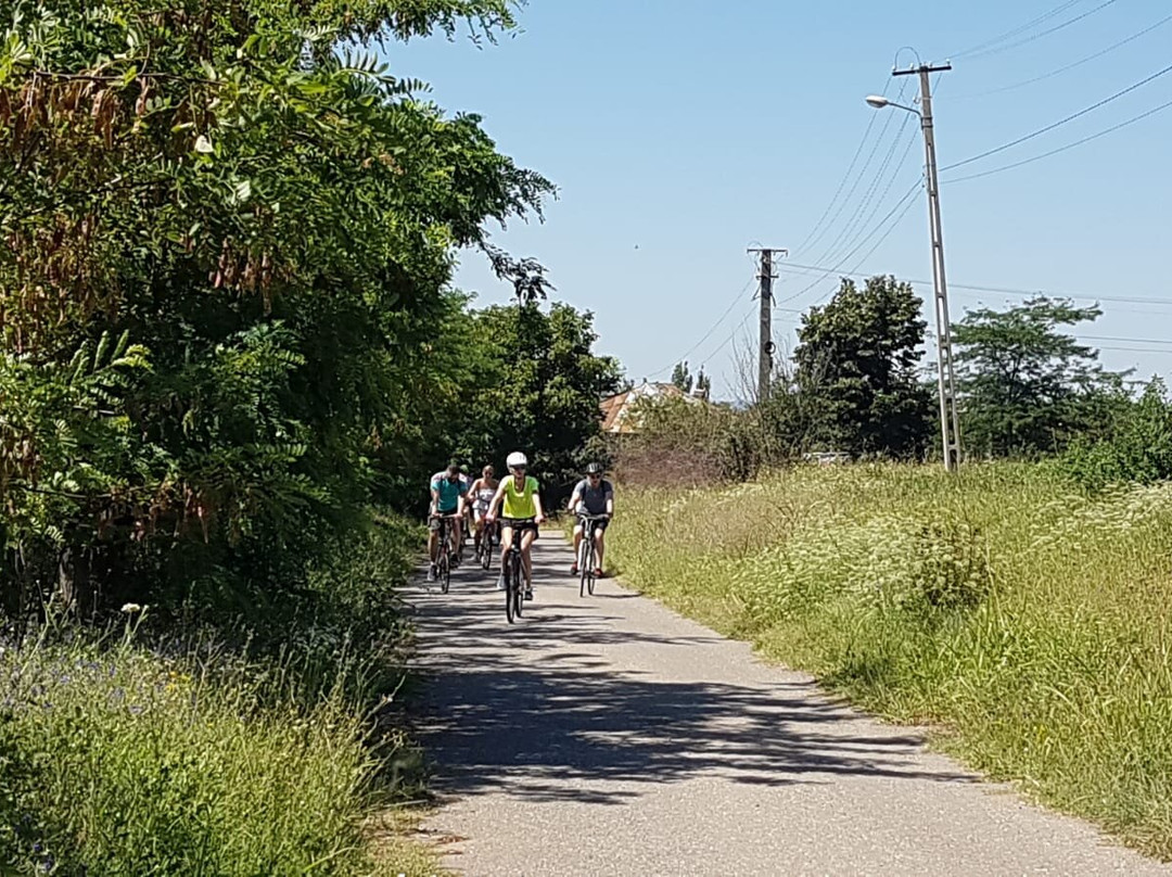 Cycling Romania景点图片