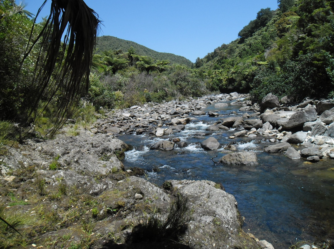 Parapara River景点图片