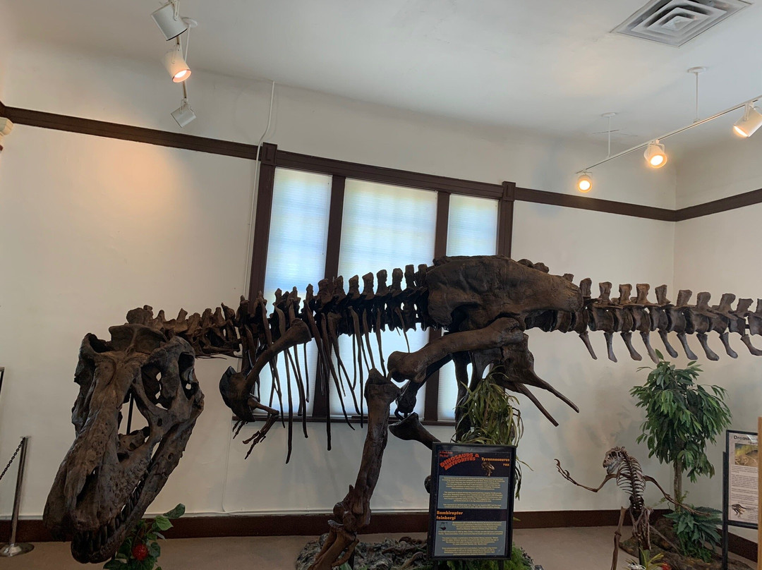 The Sherman Museum-Sherman必去景点