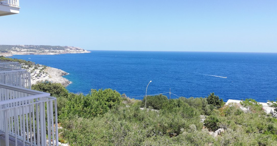 欧萨玛吉欧雷酒店主图