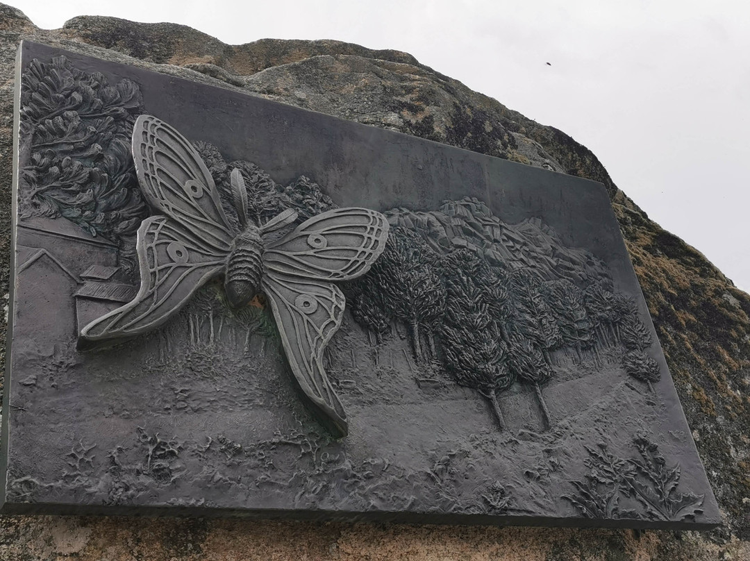 Monumento A La Mariposa.-Peguerinos必去景点