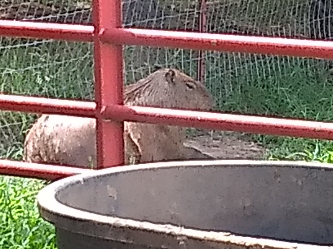 Lost Creek Safari-斯蒂尔沃特必去景点