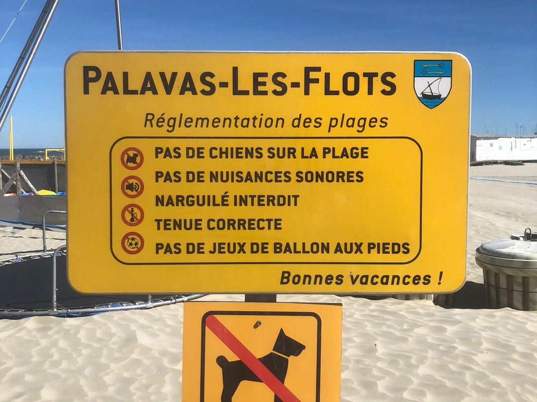 Plage Rive Gauche-帕拉瓦莱弗洛必去景点